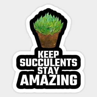 Amazing Succulents Sticker